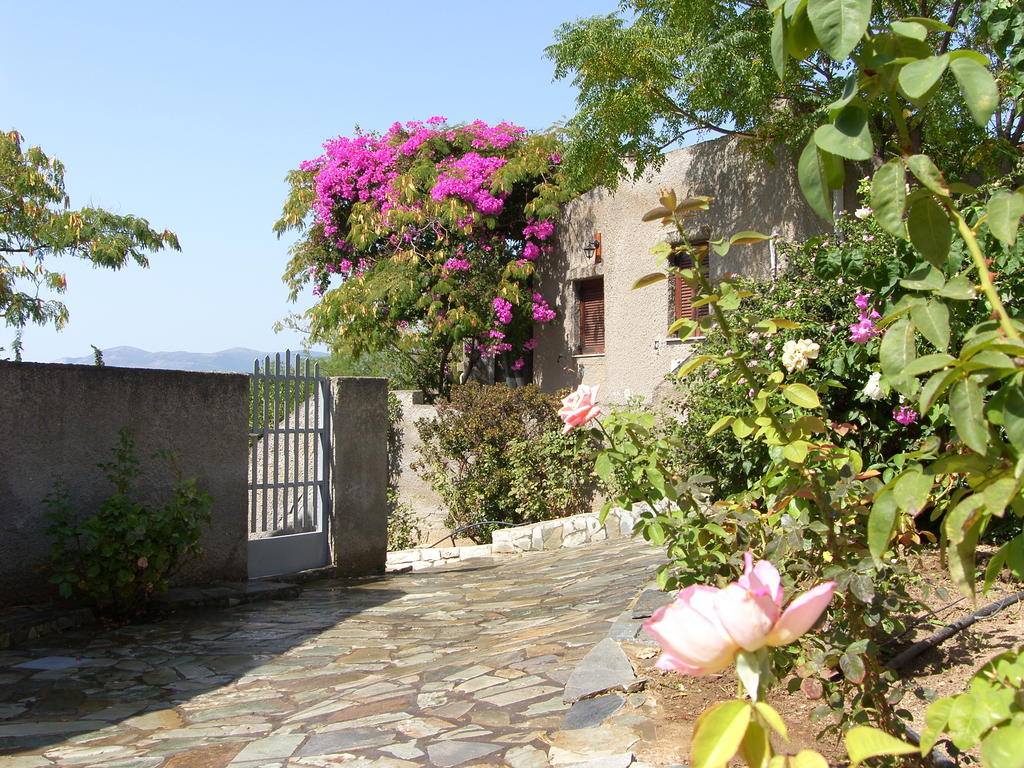 Cavo Grosso Bungalows Mavrovouni  Room photo